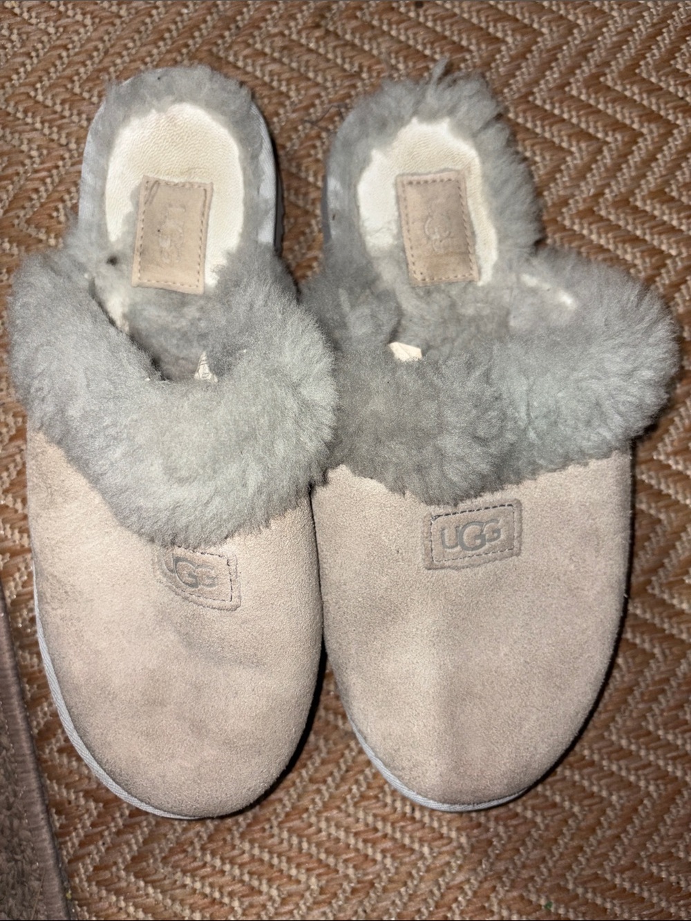 UGG Women's Light Gray Suede Shearling Clog Slippers